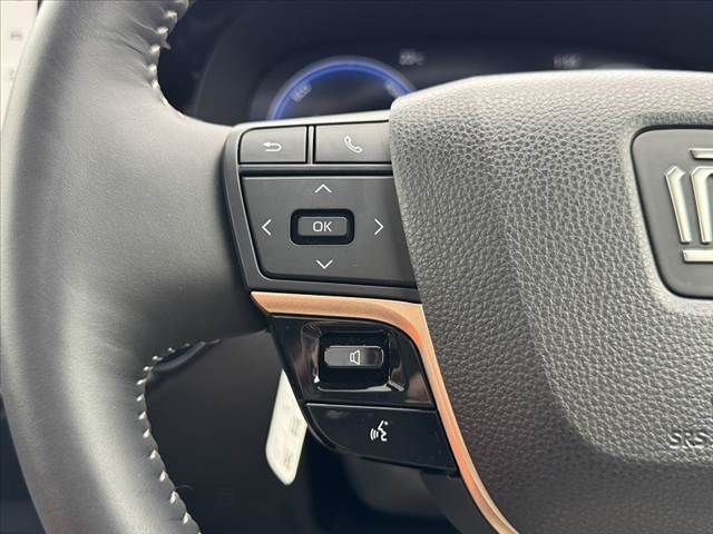 CROWN SPORT