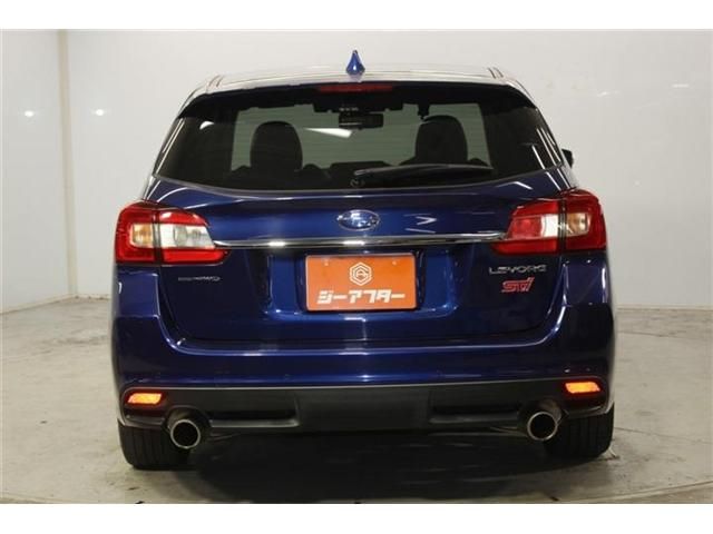 LEVORG