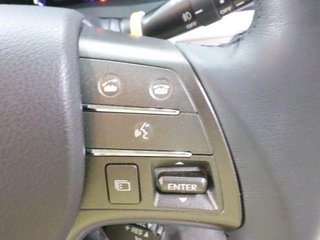 LEXUS HS250h