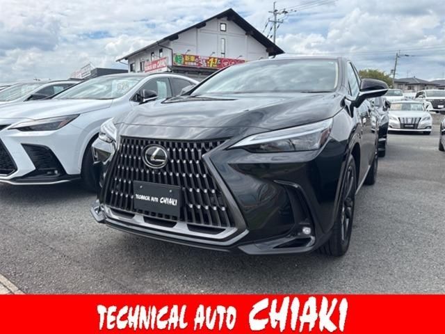 LEXUS NX250