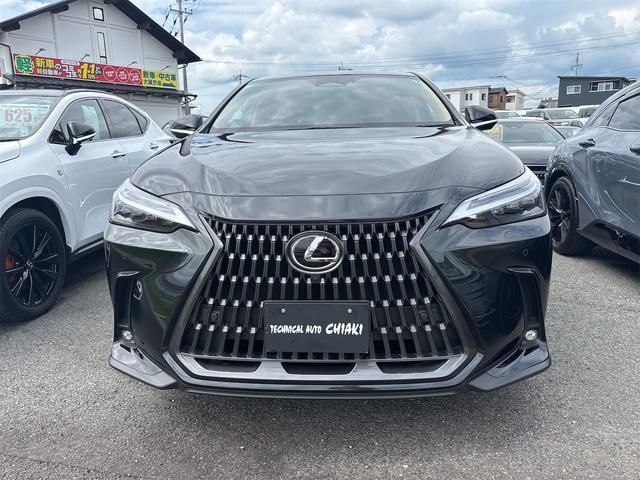 LEXUS NX250