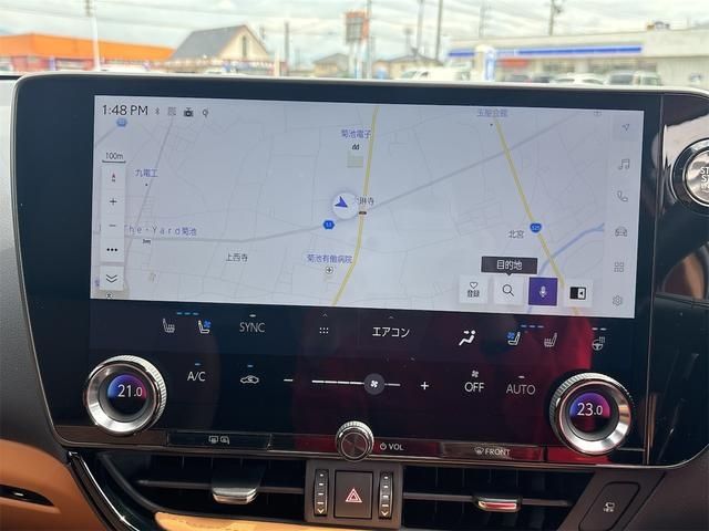 LEXUS NX250
