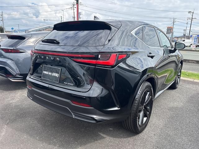 LEXUS NX250