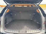 LEXUS NX250