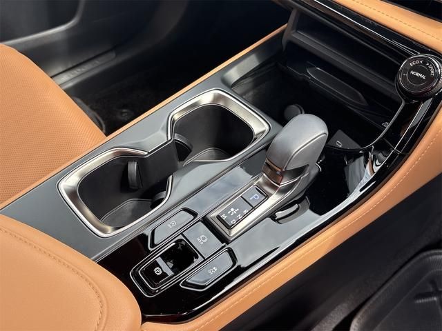 LEXUS NX250