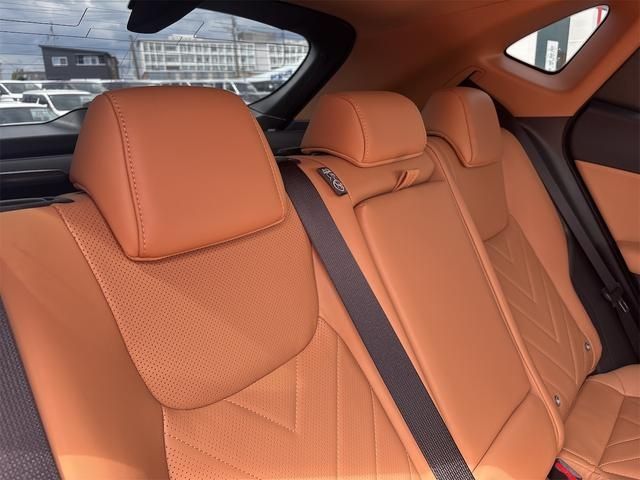 LEXUS NX250