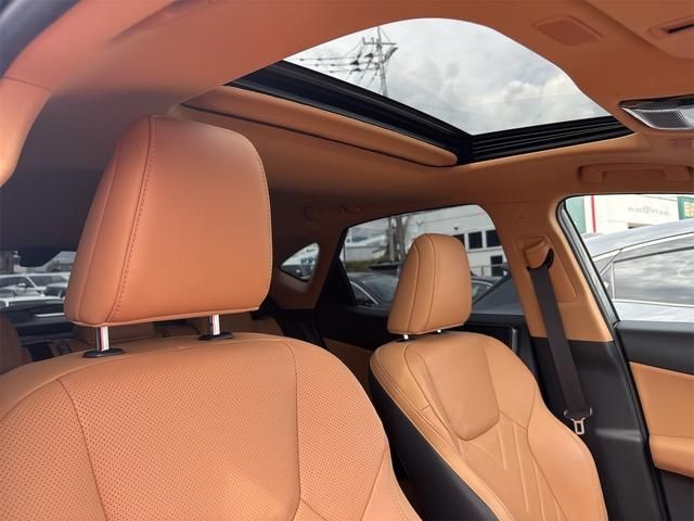 LEXUS NX250