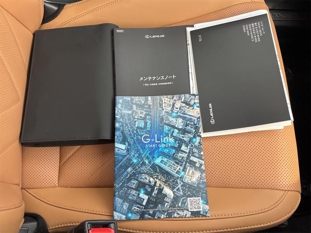 LEXUS NX250