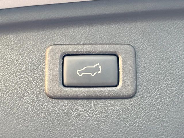 LEGACY OUTBACK