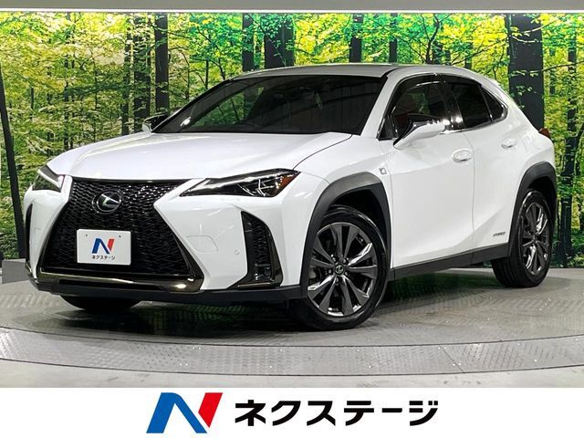 LEXUS UX250h