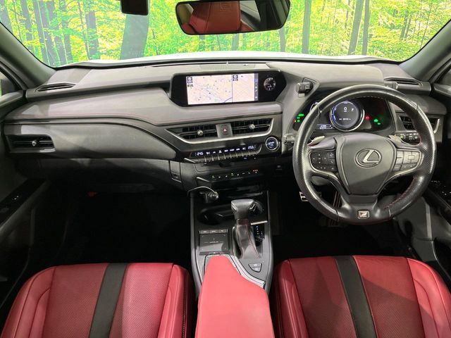 LEXUS UX250h