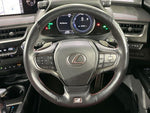 LEXUS UX250h