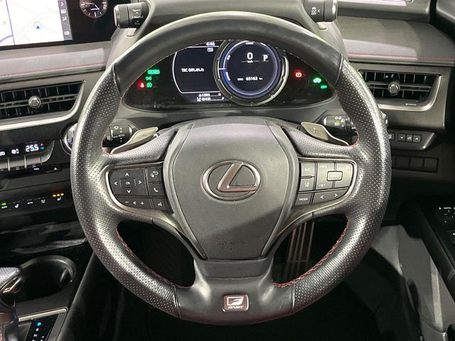 LEXUS UX250h