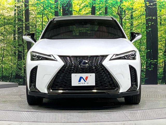 LEXUS UX250h