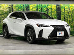 LEXUS UX250h