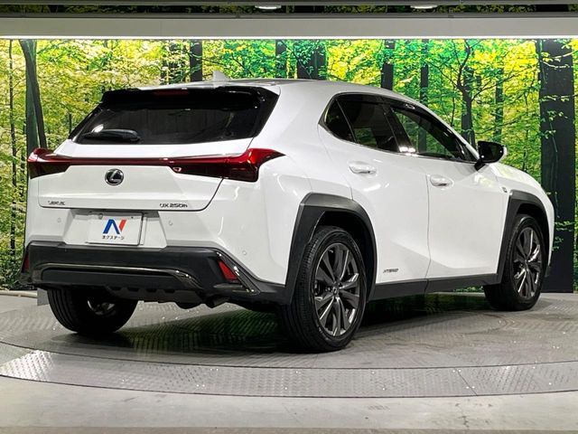 LEXUS UX250h