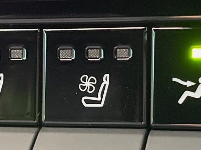 CROWN SPORT