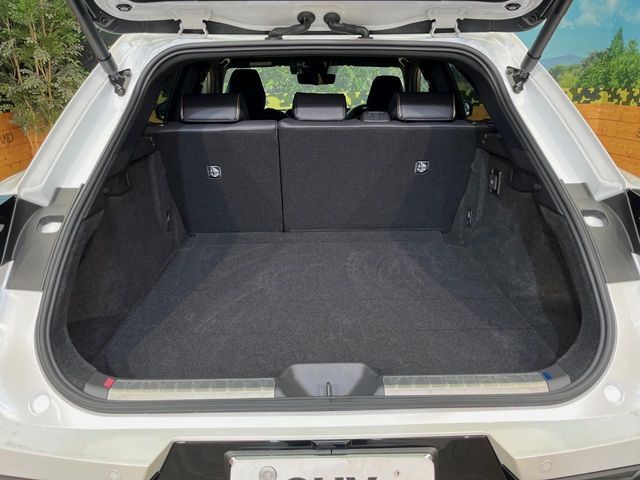 CROWN SPORT