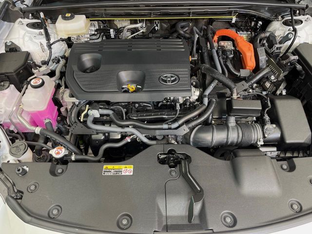 CROWN SPORT