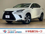 LEXUS NX300h