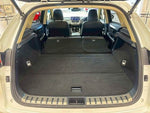 LEXUS NX300h