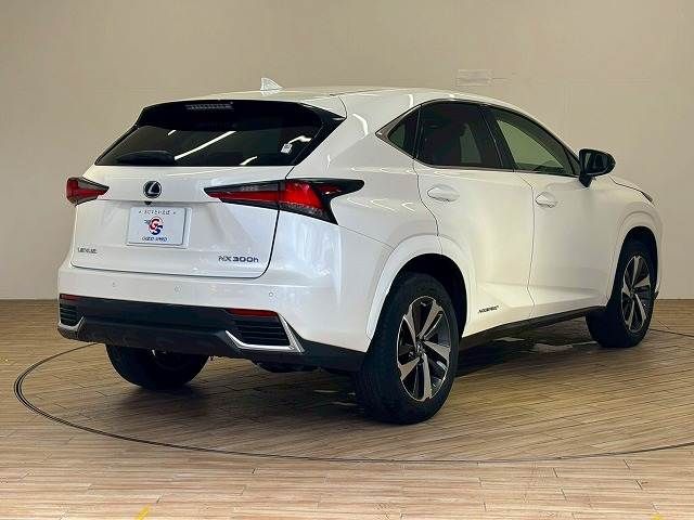 LEXUS NX300h