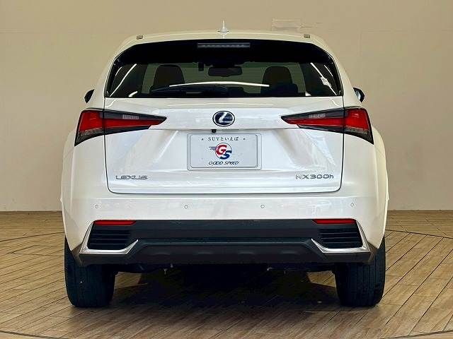 LEXUS NX300h