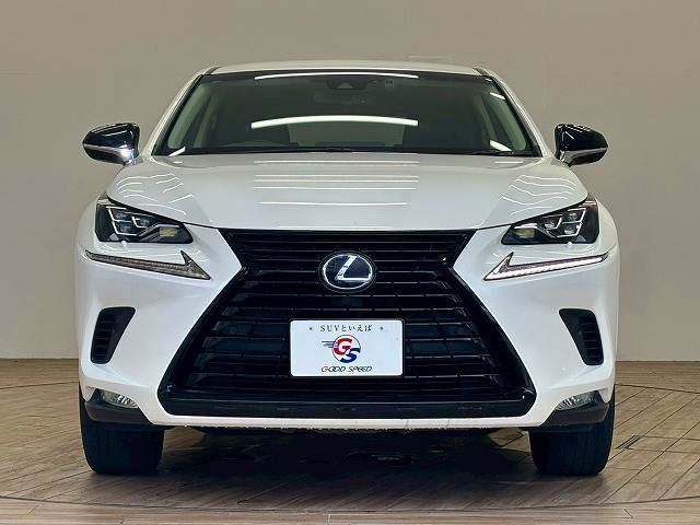 LEXUS NX300h
