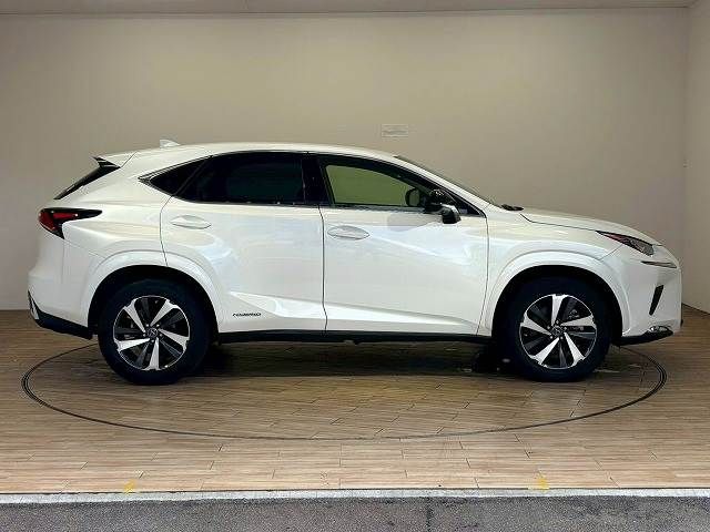 LEXUS NX300h