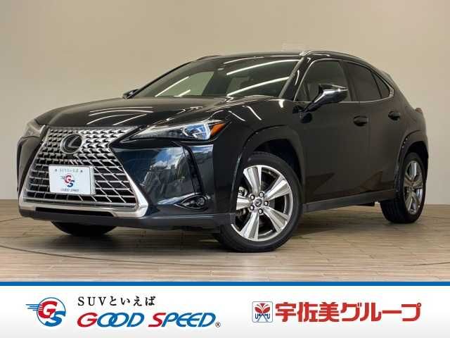LEXUS UX250h