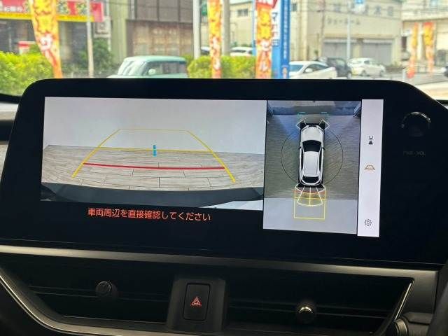 LEXUS UX250h