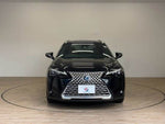 LEXUS UX250h