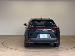 LEXUS UX250h