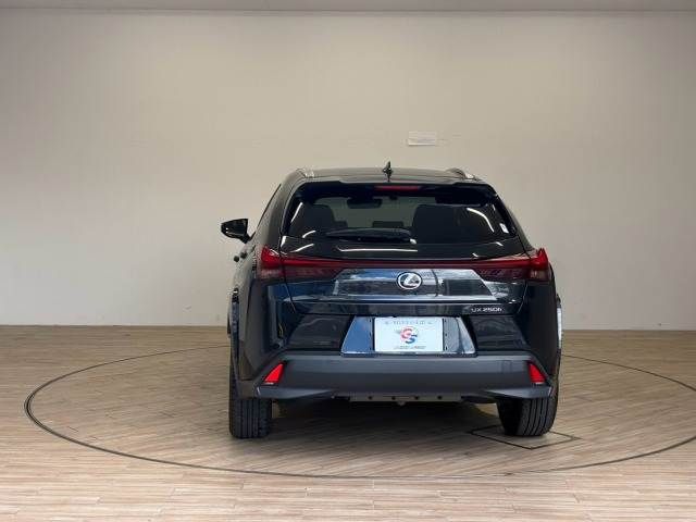 LEXUS UX250h