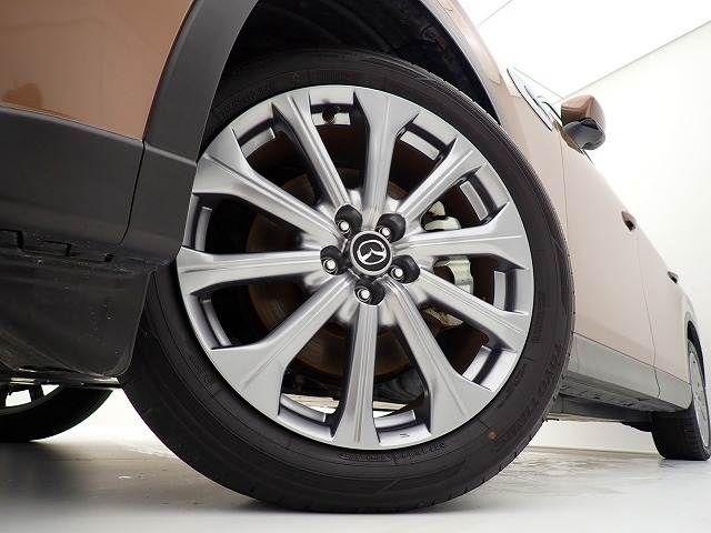 CX-80