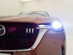 CX-80