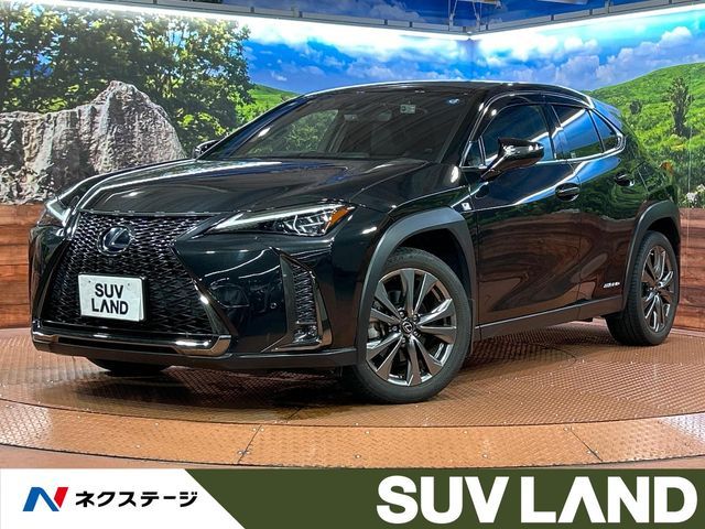 LEXUS UX250h