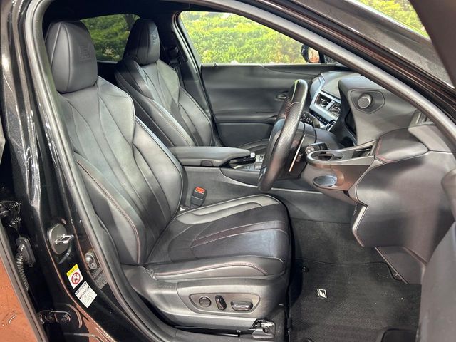 LEXUS UX250h