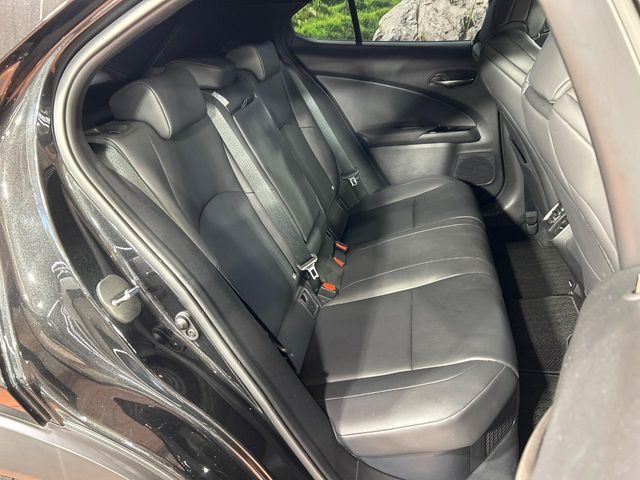 LEXUS UX250h