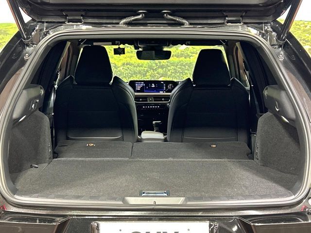 LEXUS UX250h