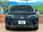 LEXUS UX250h