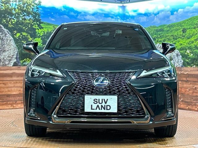 LEXUS UX250h