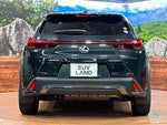 LEXUS UX250h