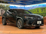 LEXUS UX250h
