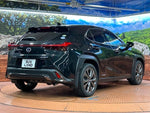 LEXUS UX250h