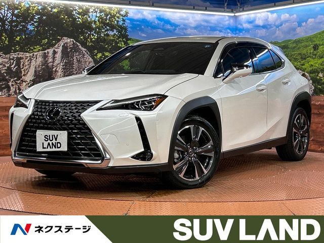 LEXUS UX300h