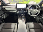 LEXUS UX300h