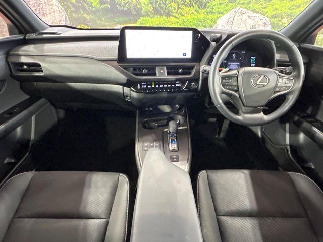 LEXUS UX300h
