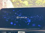 LEXUS UX300h