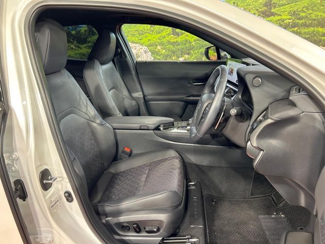 LEXUS UX300h